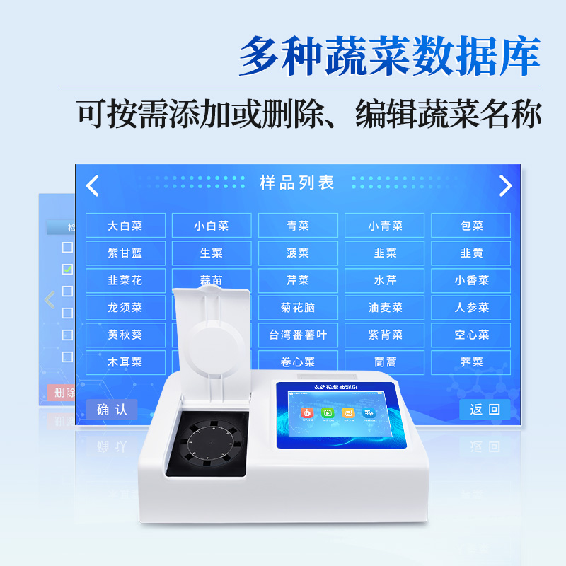 Summer beach concept