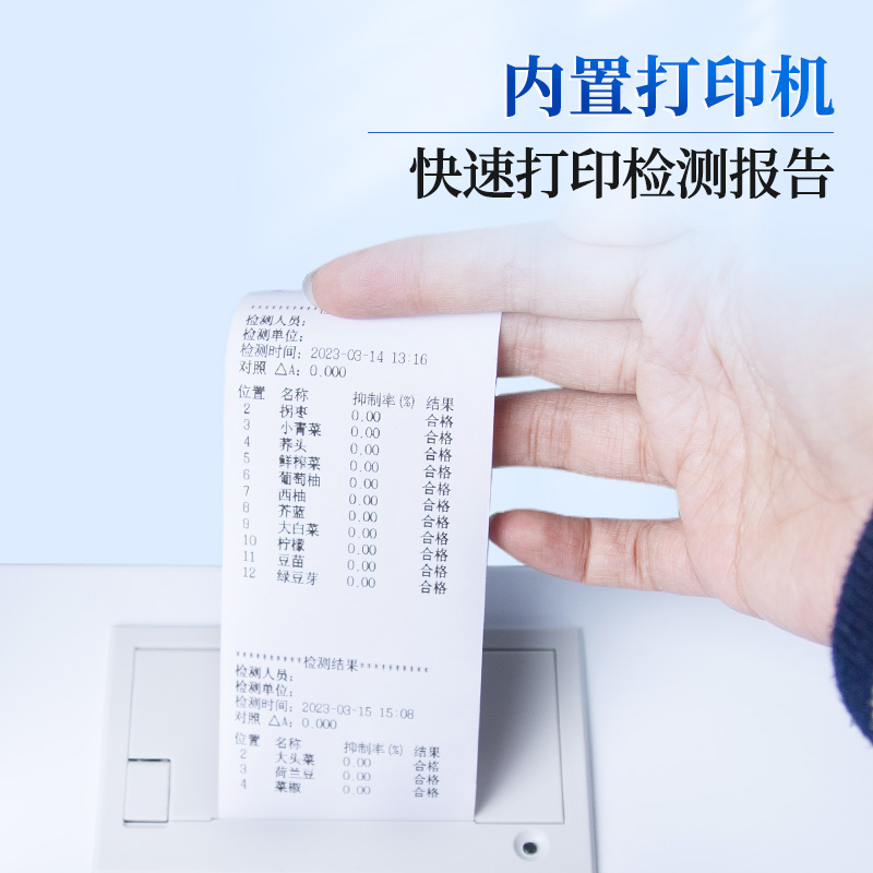 Summer beach concept