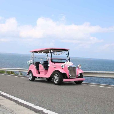 6座豪华电动老爷车电动四轮旅游景区观光车厂家售楼处看房车