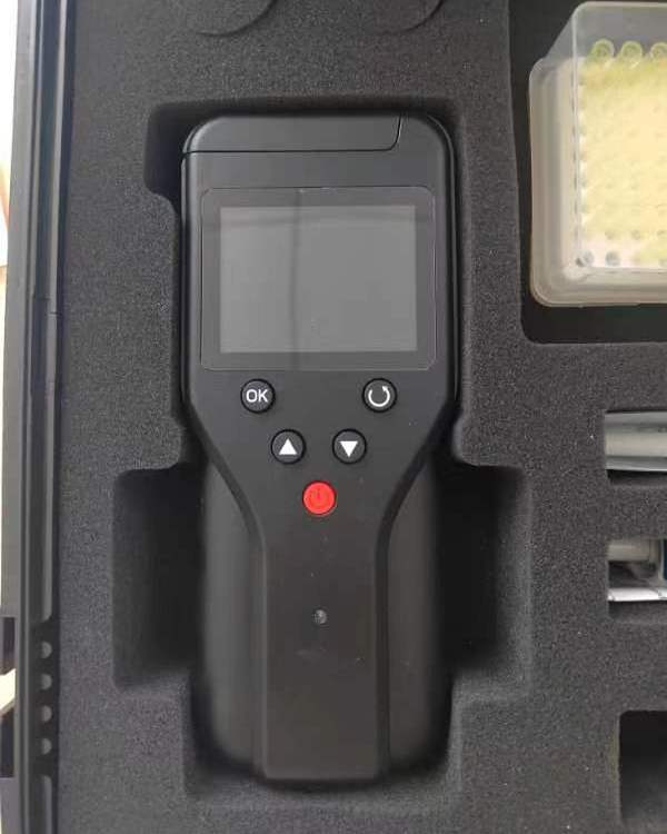 Summer beach concept