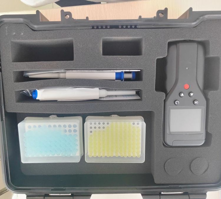 Summer beach concept