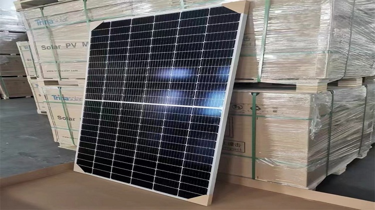 微信图片_20230810151916