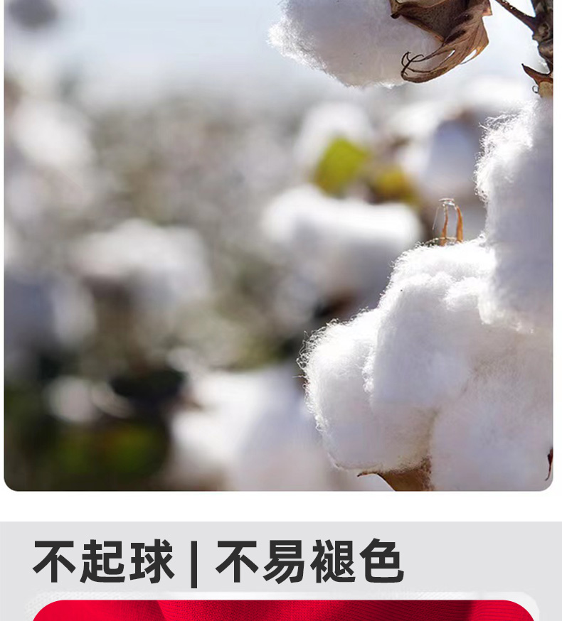 AZ54-AZ55-AB63-AA06详情_07