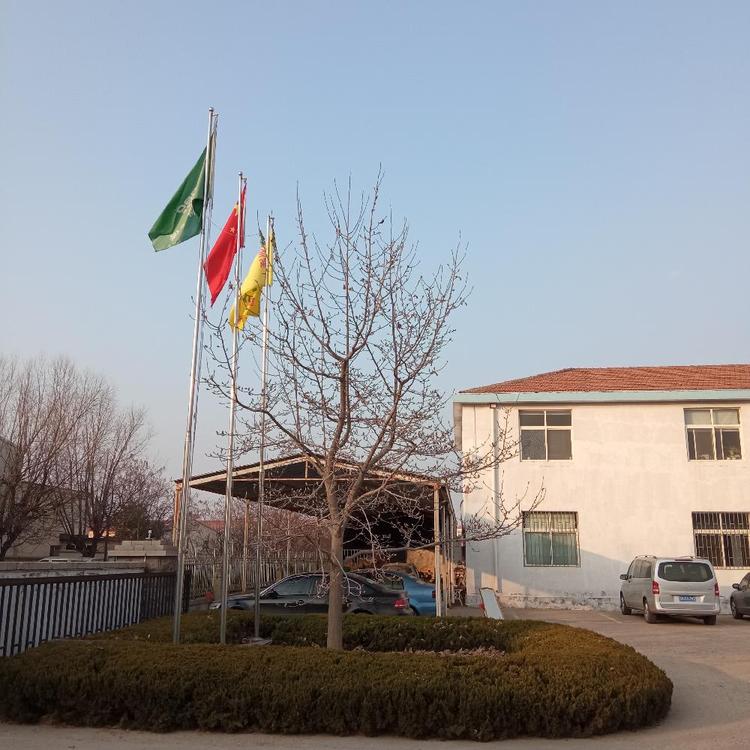 Summer beach concept