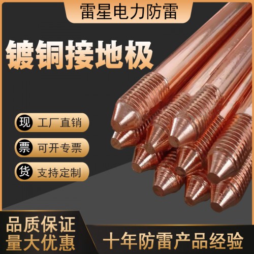 镀钢接地极