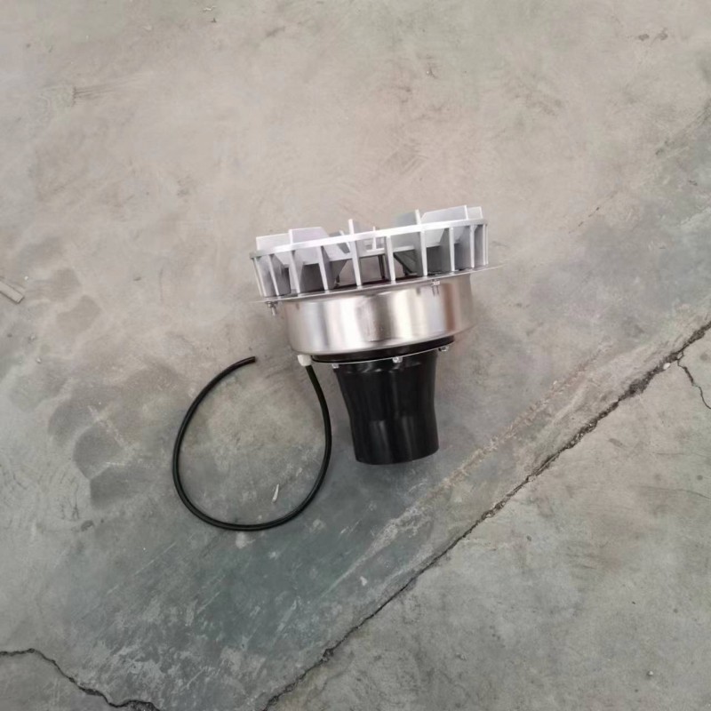 Summer beach concept