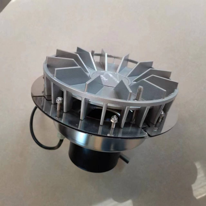 Summer beach concept