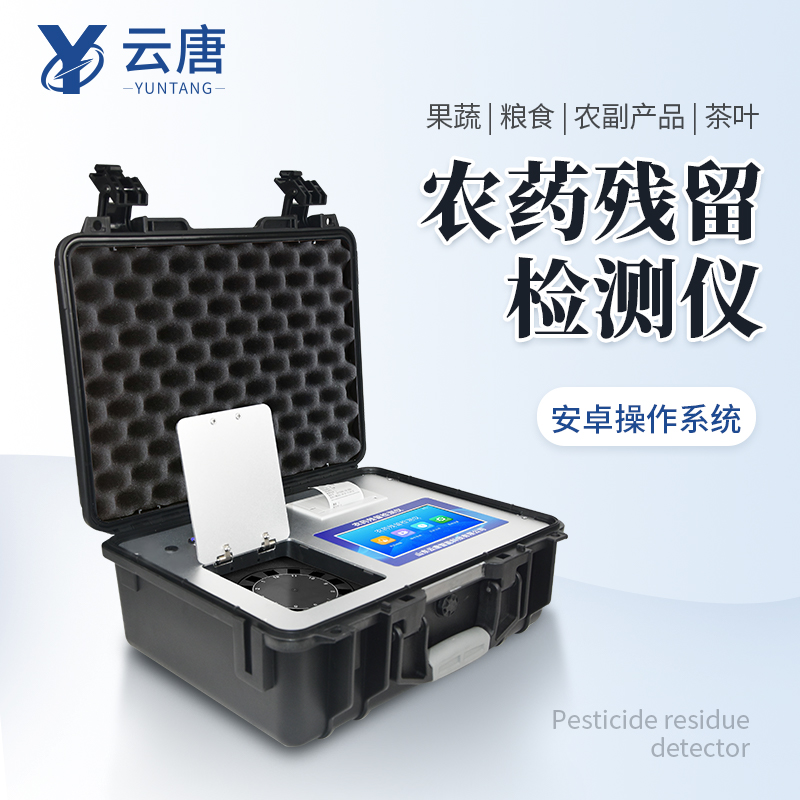 Summer beach concept