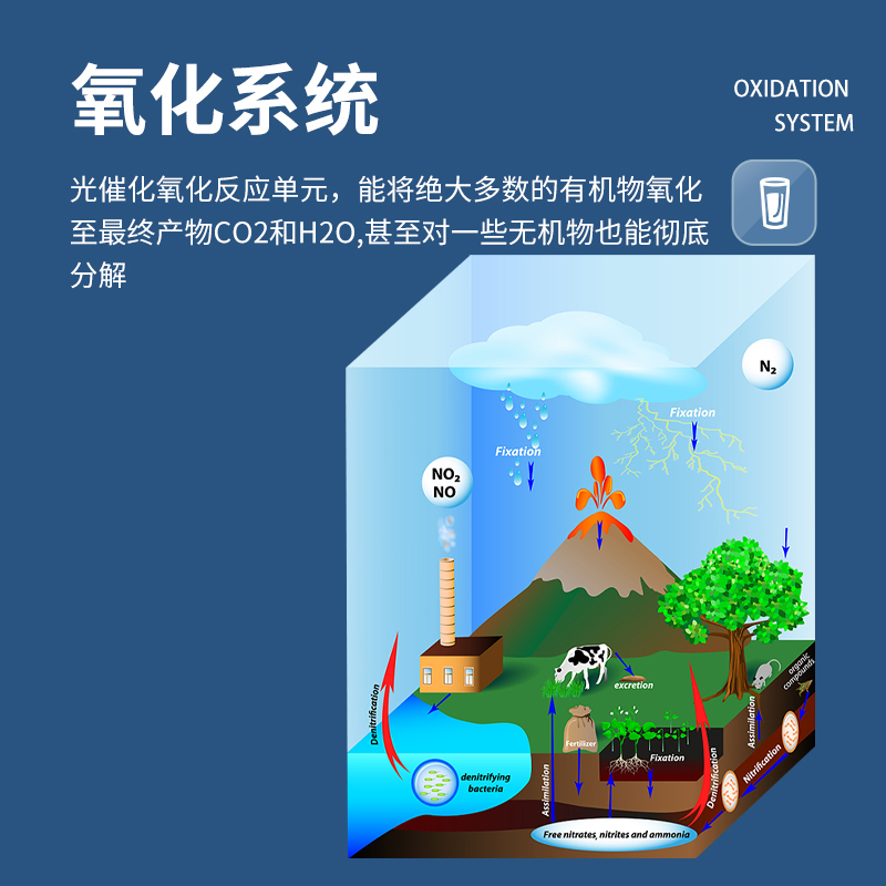 Summer beach concept