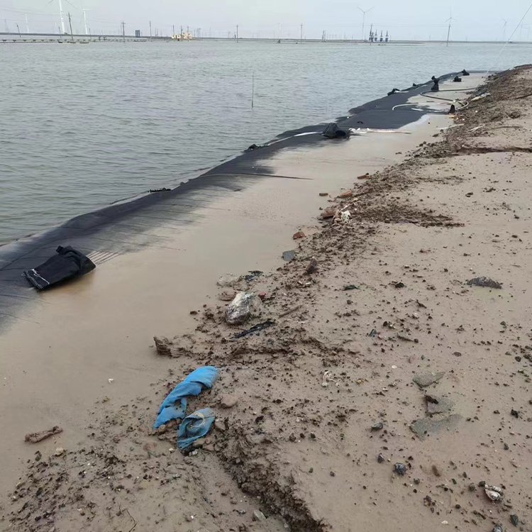 Summer beach concept