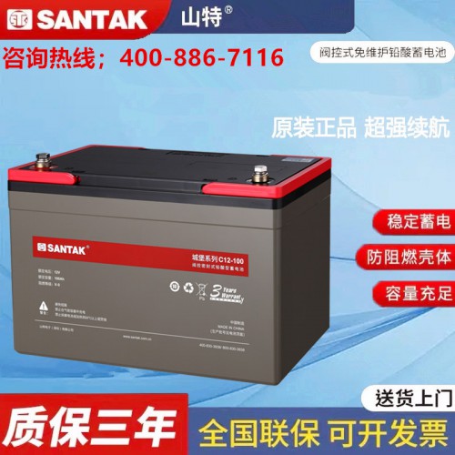 山特12V100AH铅酸蓄电池  深圳山特电源