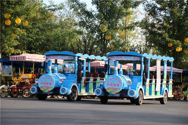 3湖南电动观光车价格