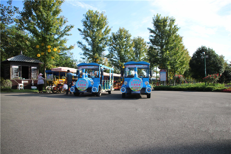 5售楼处接待电动车