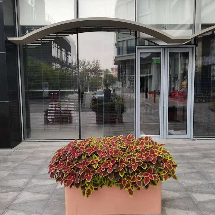 Summer beach concept