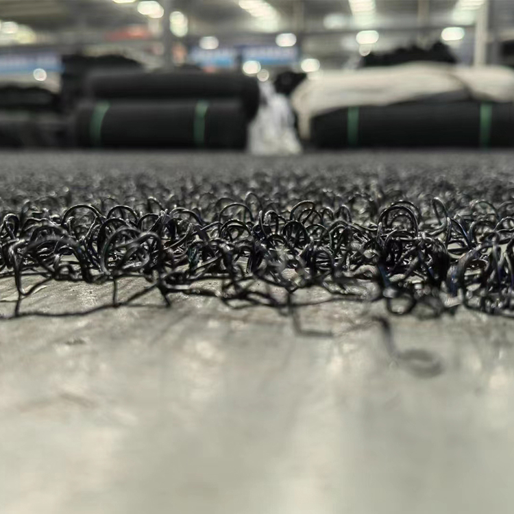 Summer beach concept