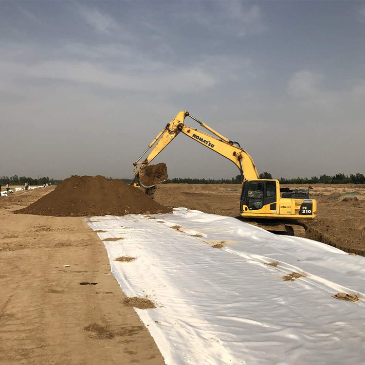 Summer beach concept