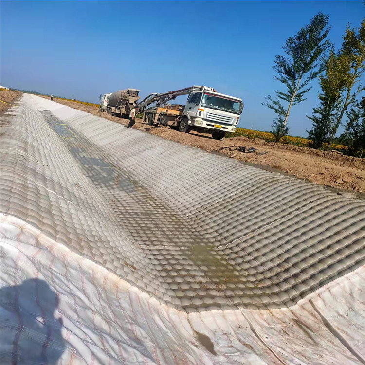 Summer beach concept