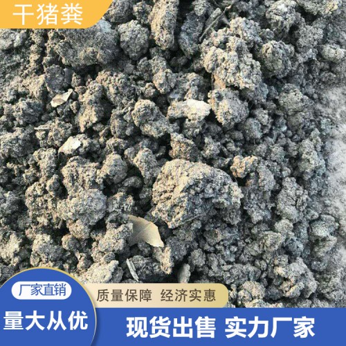 干猪粪