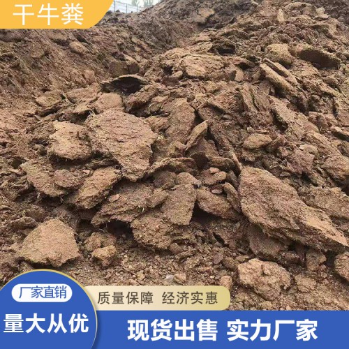 干牛粪