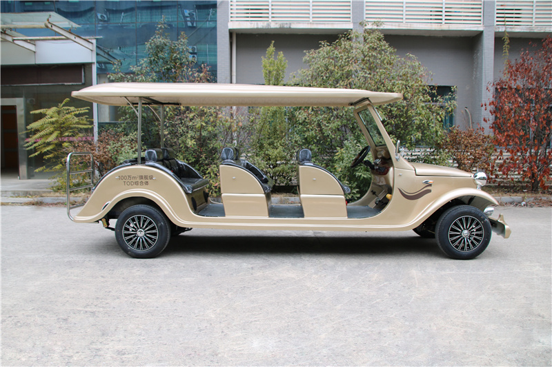 3贵宾接待电动车