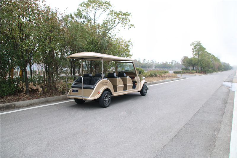 6房地产接待电动车