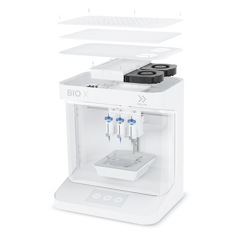 Summer beach concept