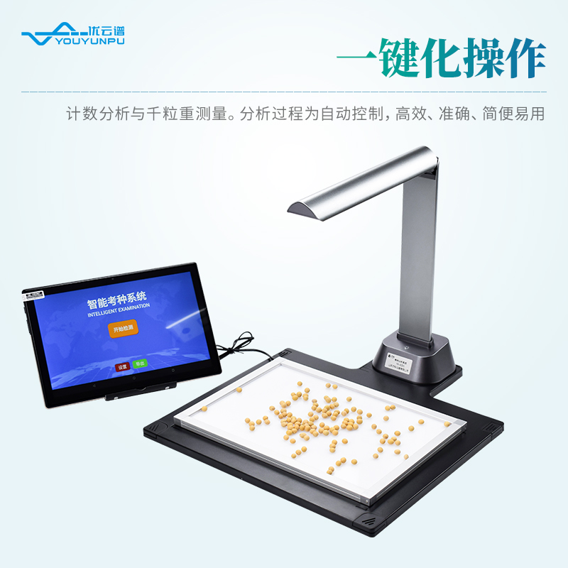 Summer beach concept