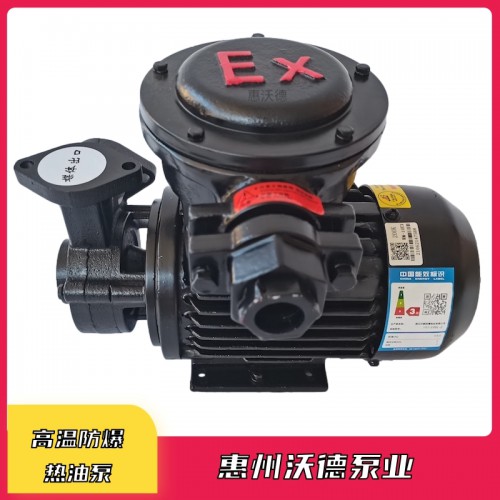 高温防爆热油泵 防爆高温泵