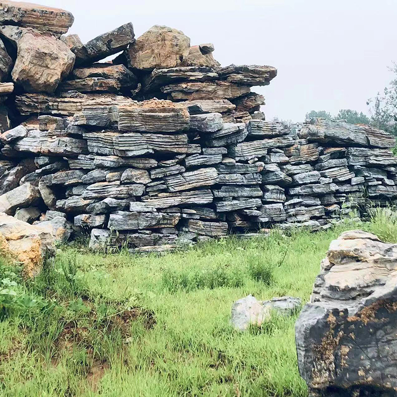 Summer beach concept