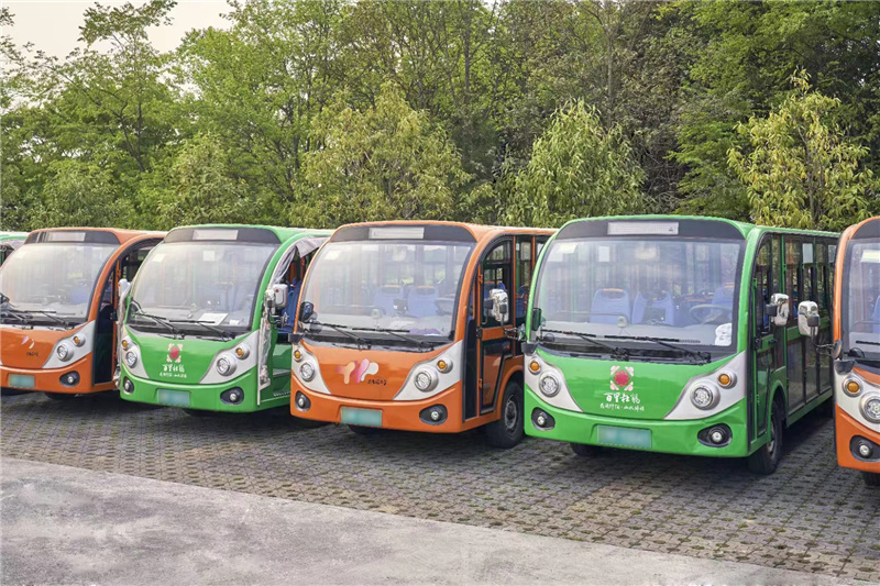 6观光车一线品牌