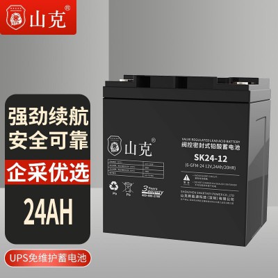 山克12V24AH铅酸蓄电池 深圳山克蓄电池