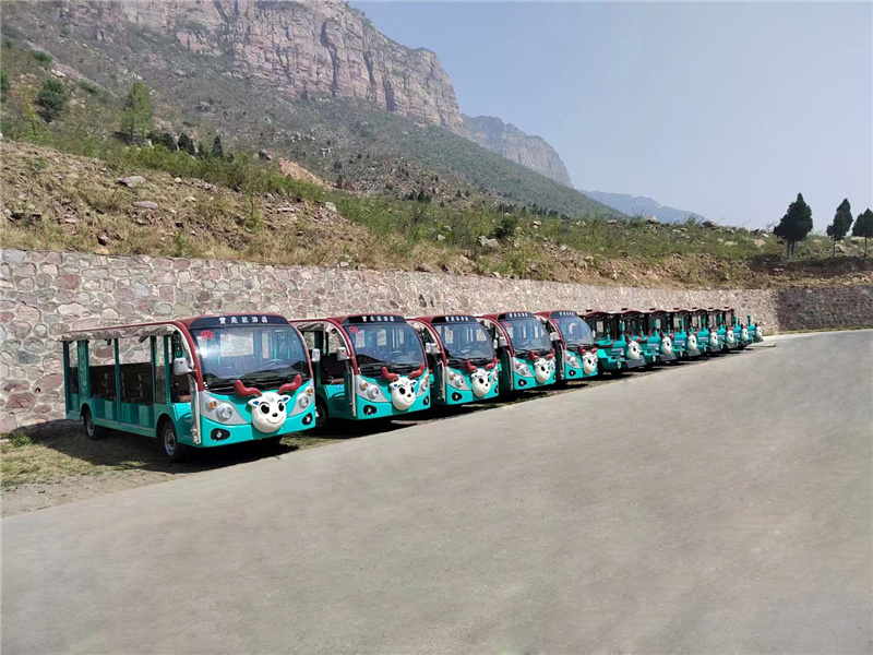 1浙江造型电动观光车