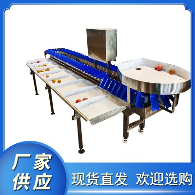 水果清洗分选设备
