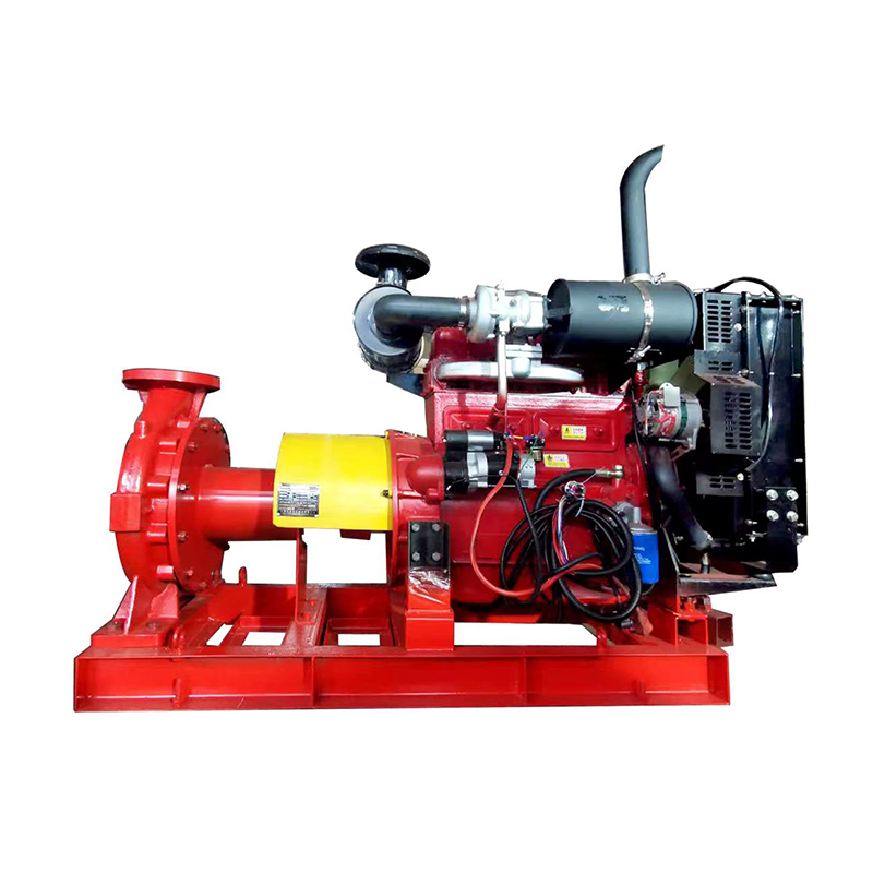 Summer beach concept