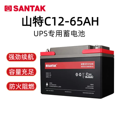 山·特城堡蓄电池12V65AH 免维护 机房UPS电源备用
