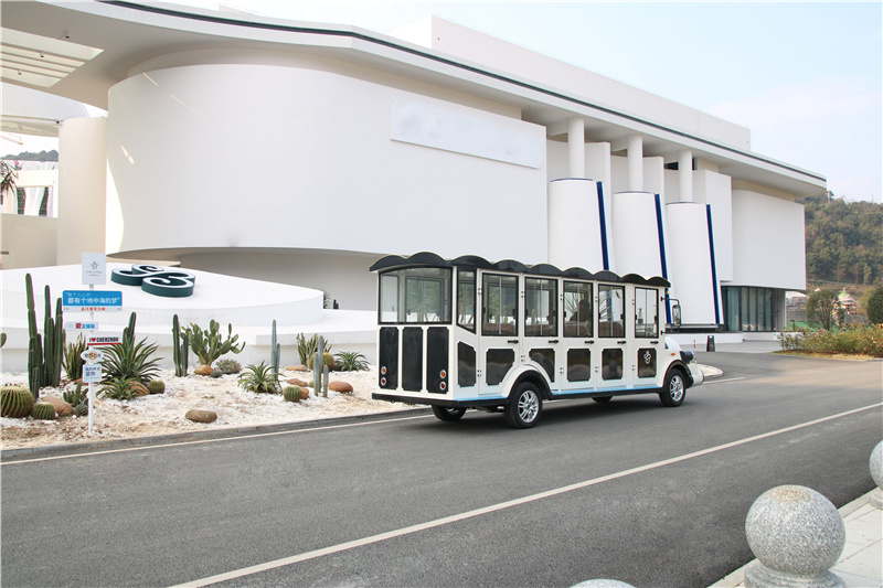 6电瓶观光车图片