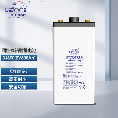理·士电池DJ300铅酸免维护 UPS电源EPS直流屏专用