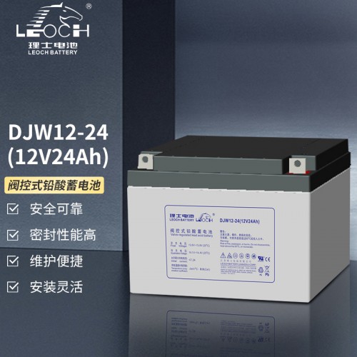 理·士铅酸免维护蓄电池DJW12-24UPS电源EPS直流屏