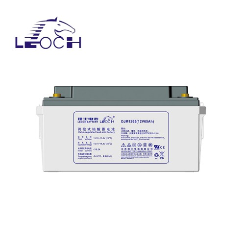 理·士蓄电池DJM12-65S铅酸免维护UPSEPS应急电源