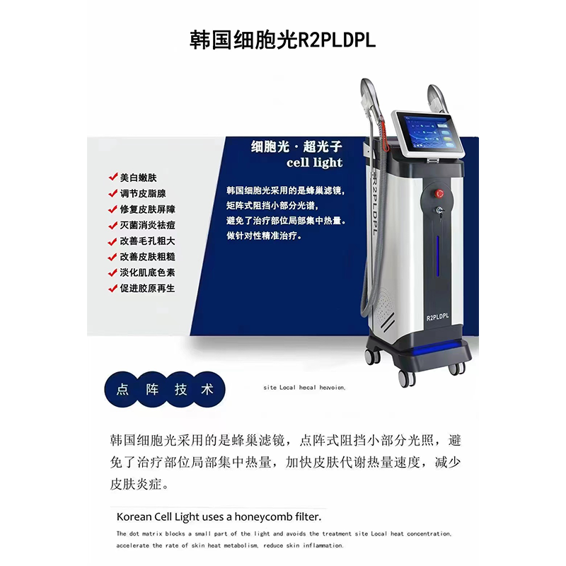 Summer beach concept