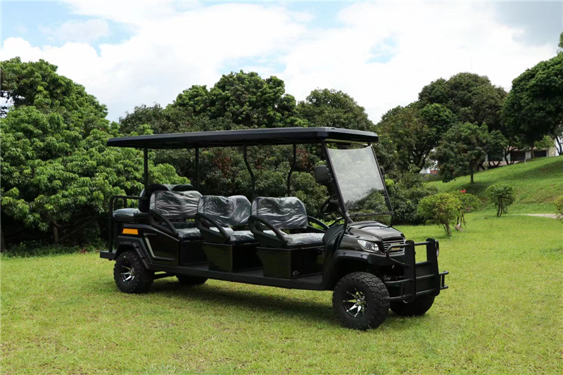 5电动巡逻车图片