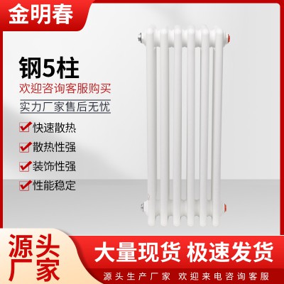 钢5柱暖气片 钢五柱厂家直销