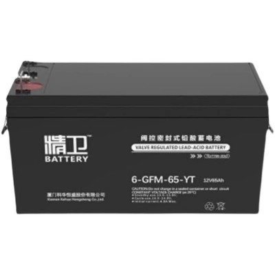 科·华精卫蓄电池6-GFM-65-YT免维护12V65AH