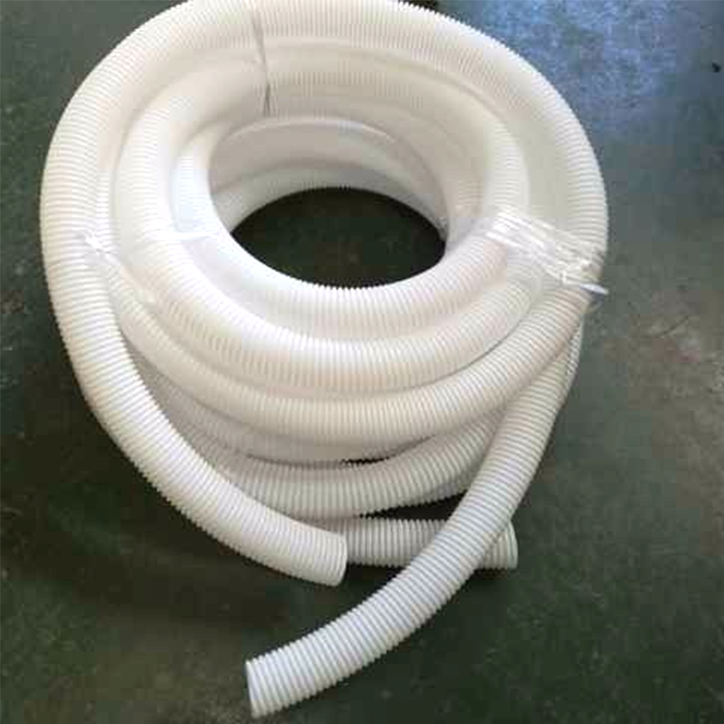 Summer beach concept