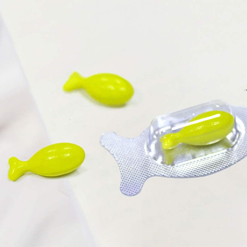 Summer beach concept