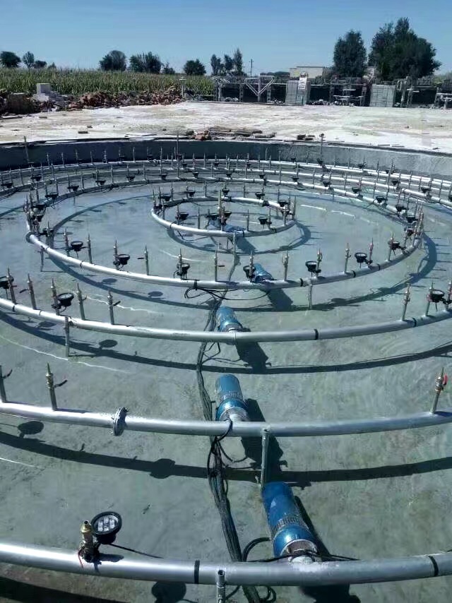 Summer beach concept