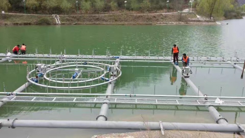 Summer beach concept