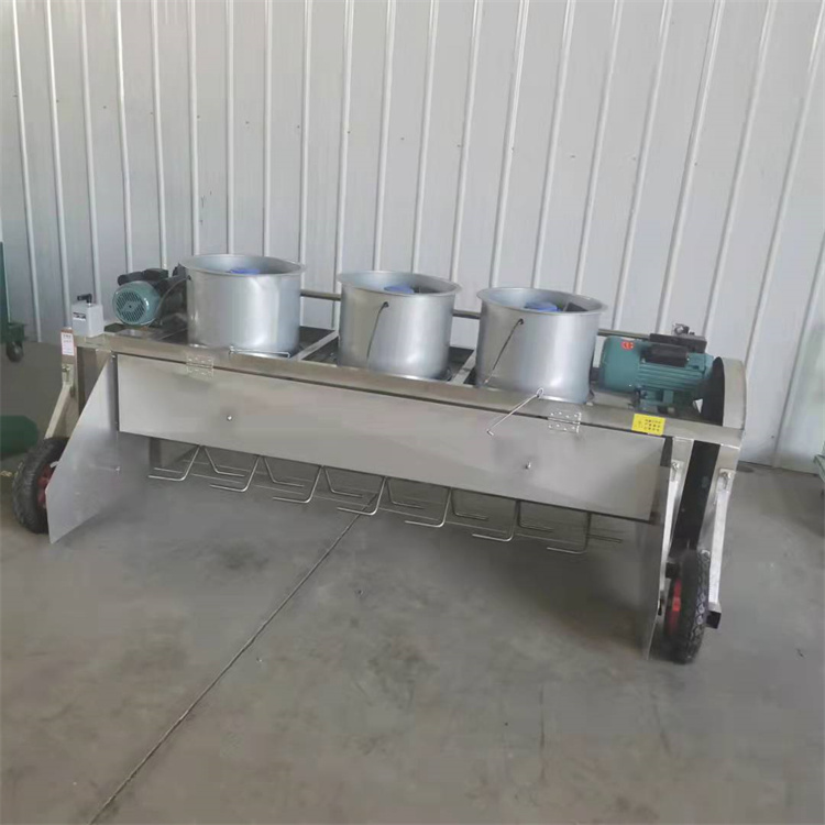 Summer beach concept