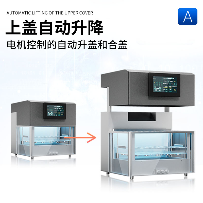 Summer beach concept