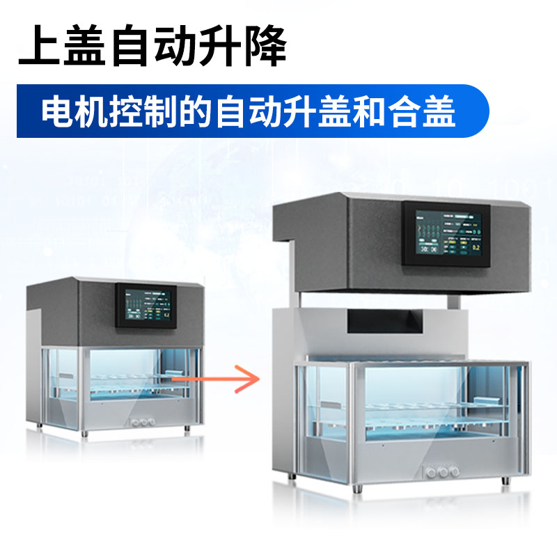 Summer beach concept